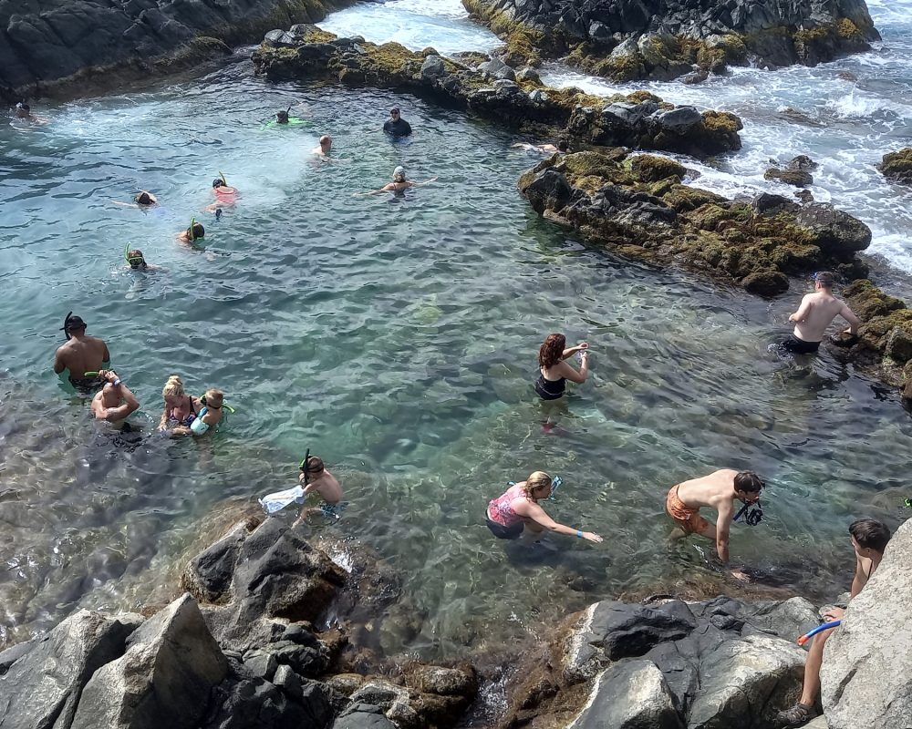Snorkeling at the Natural Pool Conchi in Aruba