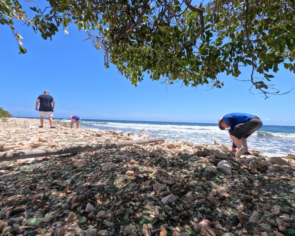 Kayaking past mangroves while enjoying a sunset along Aruba’s coastline