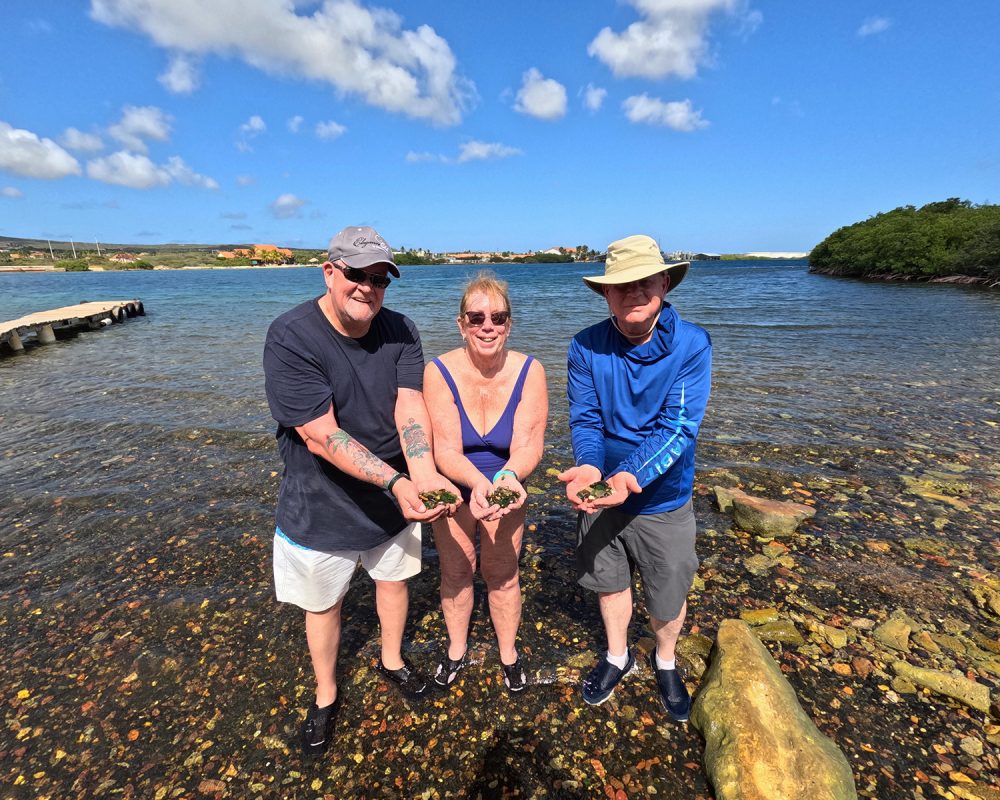 Visitors searching for sea glass on the shoreline of Sea Glass Island in Aruba