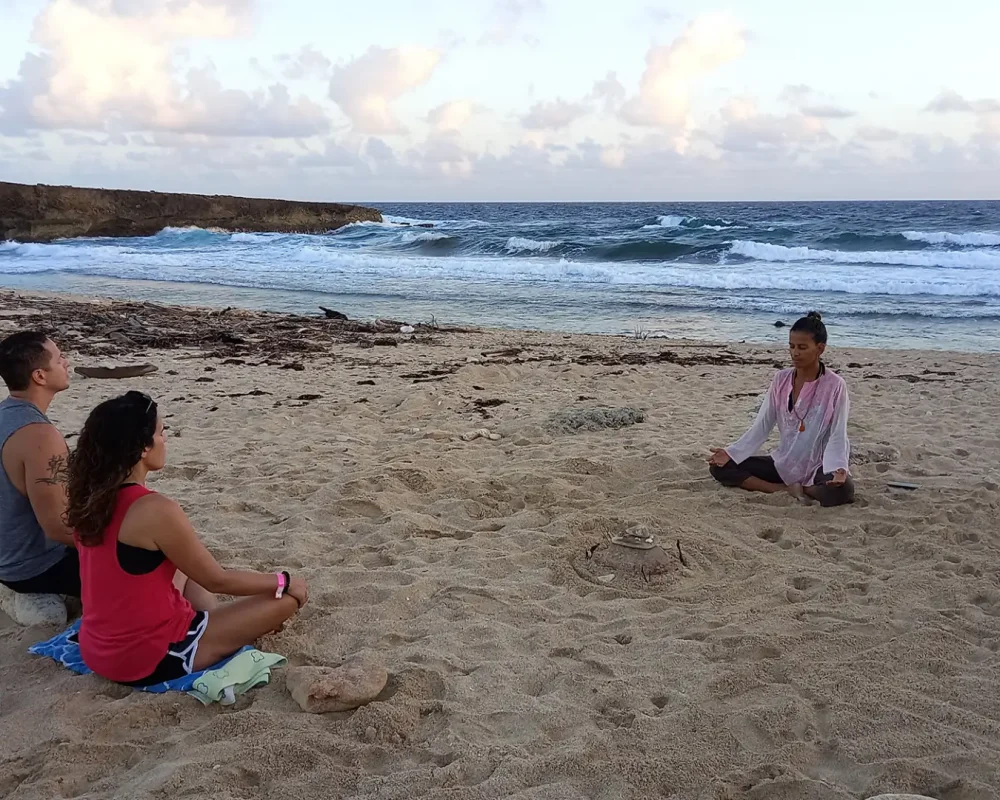 Native flora and fauna along Aruba’s north coast trail