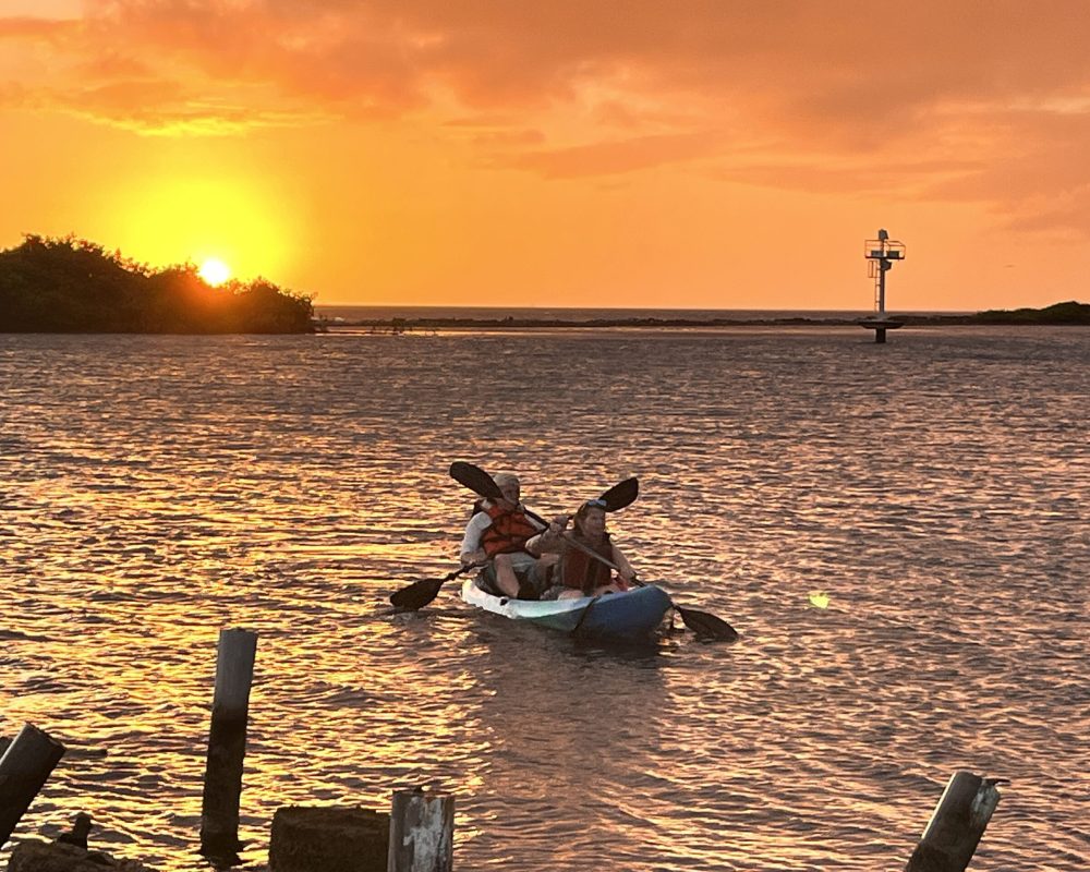 Kayak tour along the scenic Savaneta coastline with calm Caribbean waters