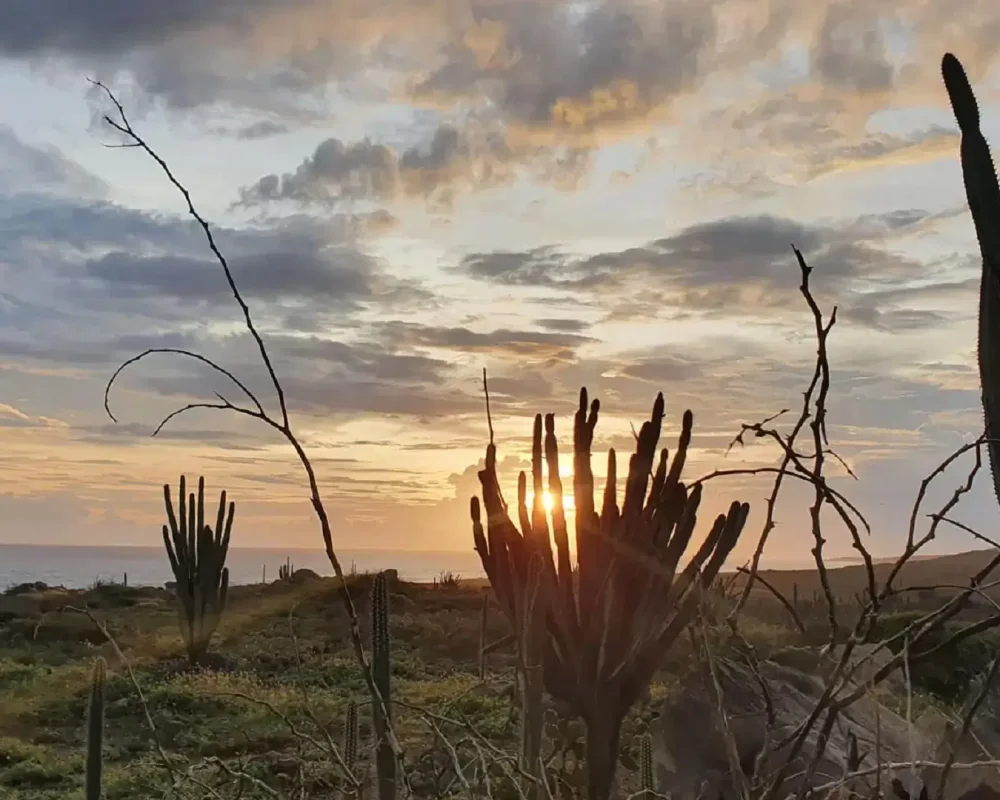Small group private hiking tour along Aruba’s north coast with Aruba Eco Tours