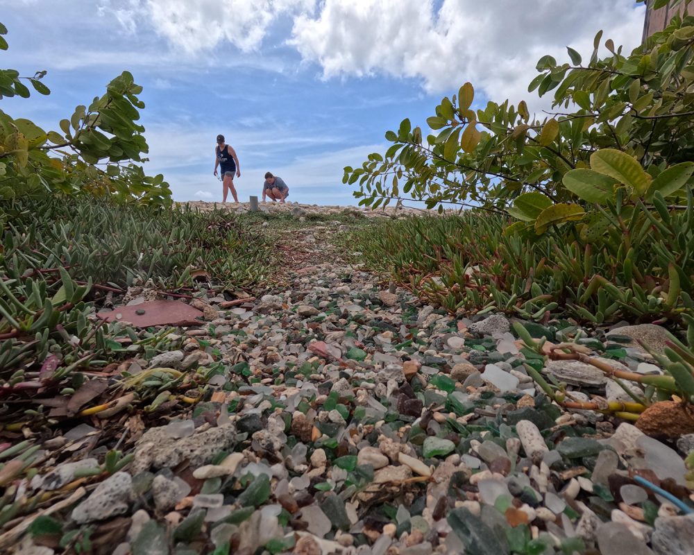 Guided ocean kayak tour near Sea Glass Island led by a professional guide