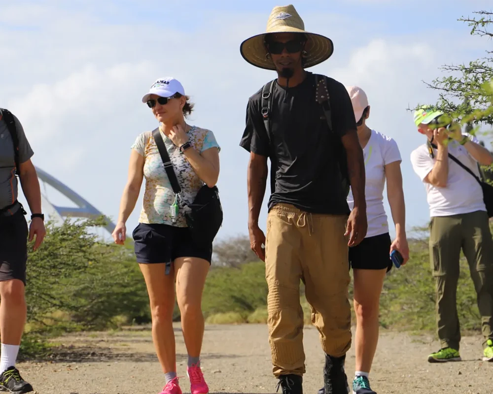 Spanish Lagoon mangrove trail bird watching Aruba