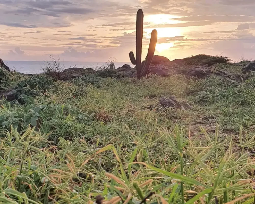 Hikers walking along the north coast of Aruba at sunrise